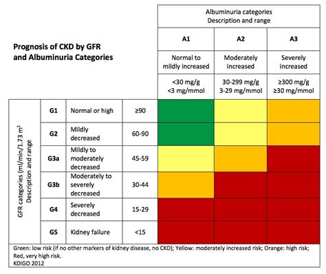 What Is Normal Gfr For 80 Year Old at Marianne Kramer blog