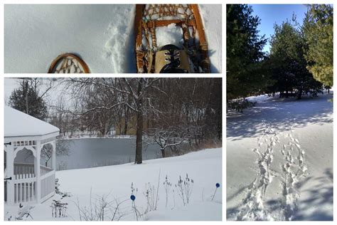 Winter Activities in Galena Illinois - Hawk Valley Retreat and Cottages