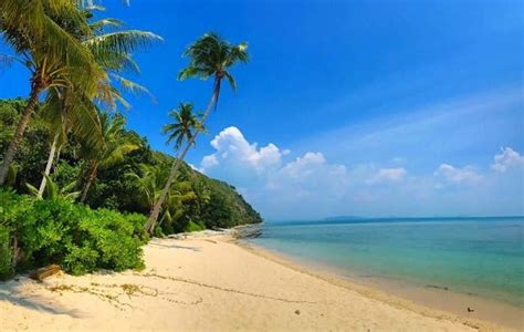 Top 5 Best Amazing Activities in Sibu Island • Myisland.my