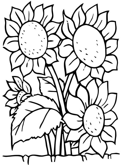 Free Flowers Coloring Download - Flowers Kids Coloring Pages