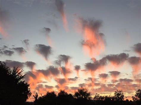 Jellyfish clouds baffle skywatchers in Chile - Strange Sounds