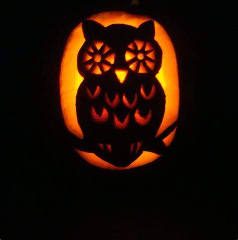 #Owl #Pumpkin Carving 2013 Halloween | Pumpkin carving, Owl pumpkin carving, Pumpkin carving ...