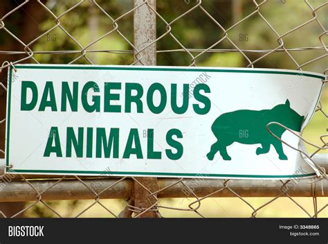 Dangerous Animals Sign Image & Photo (Free Trial) | Bigstock