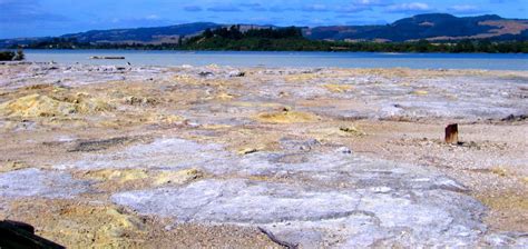 Rotorua - My New Zealand Campervan Trip