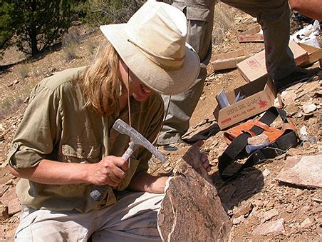 Difference Between Archaeologist and Paleontologist | Archaeology, Palentology, Job Role