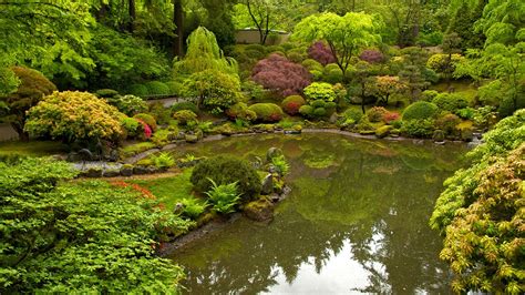 Portland Japanese Garden in Portland, Oregon | Expedia