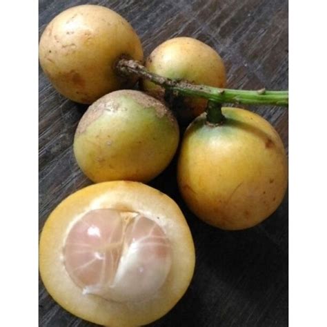 Jual BUAH MENTENG/MENTENG FRESH 1KG/buah langka fresh | Shopee Indonesia