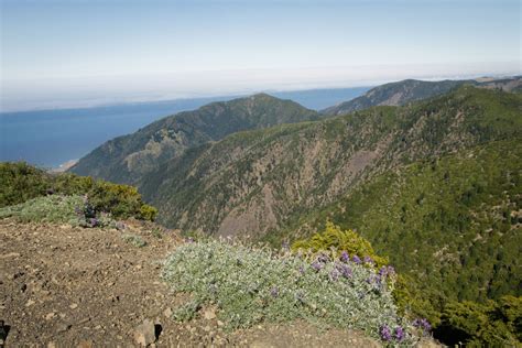 Hiking King Peak via Lightning Trail in King Range National ...