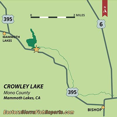 Crowley Lake - Fish Reports & Map