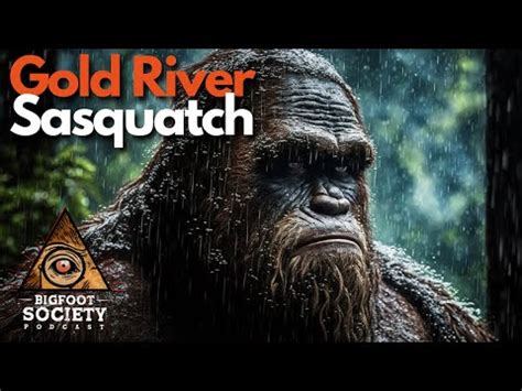 Vancouver Island's Sasquatch: Habitats, Interactions, and Historical ...