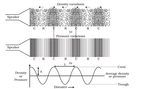 Explain the phenomena of propagation of sound wave through compressions and rarefactions with ...