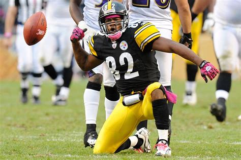 Steelers legend Antwaan Randle El's family devastated as brother ...