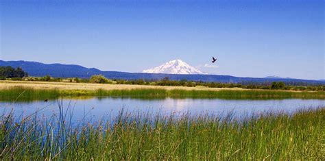 Launched: New Effort on California's Renowned Fall River - Western Rivers Conservancy