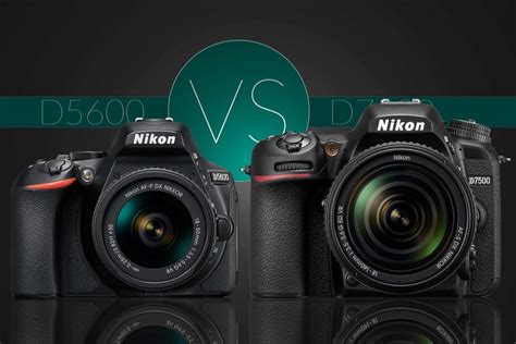 Nikon D5600 vs D7500: Which Should You Buy? – Light And Matter