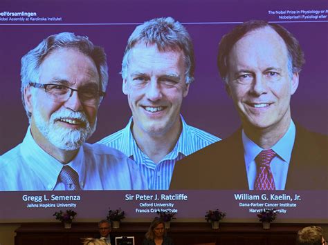 Trio Wins Nobel Prize In Physiology Or Medicine For Work On Cells And ...