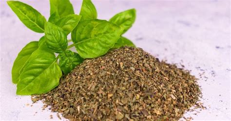 How To Dry Basil Leaves: A Simple Guide with 2 Methods - Kitchenous