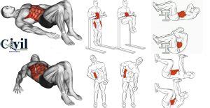 The Best Abdominal (Abdomen) Exercise Workouts | Engineering Discoveries