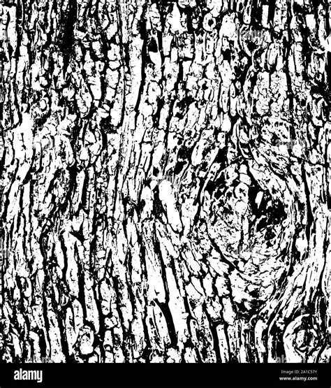 Tree bark texture background vector Stock Vector Image & Art - Alamy