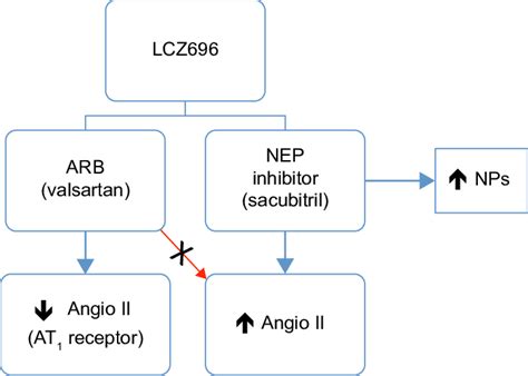 Schematic of action mechanism of NEP (sacubitril) and ARB (valsartan ...