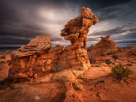 South Coyote Buttes, Vermilion Cliffs Wilderness, Arizona | Flickr