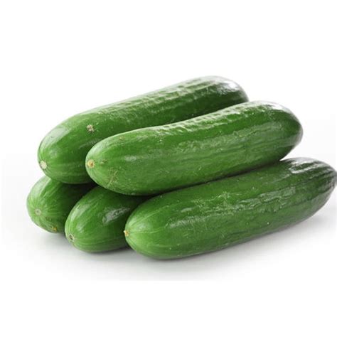 Lebanese Cucumbers