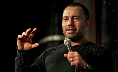 Popular Male Celebrity With Beautiful Styles - Joe Rogan Hair - Human ...