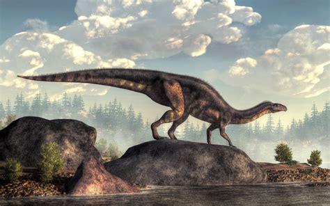 History: Plateosaurus: Level 1 activity for kids | PrimaryLeap.co.uk