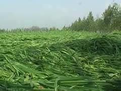 Kerala Agriculture: Latest News, Photos, Videos on Kerala Agriculture ...