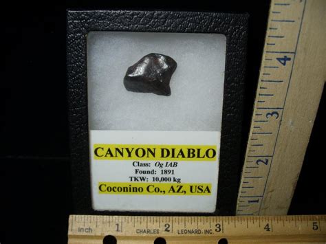 Canyon Diablo Meteorite (113021d) - The Stones & Bones Collection