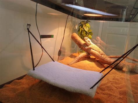 Procraftination!: Bearded Dragon Hammock