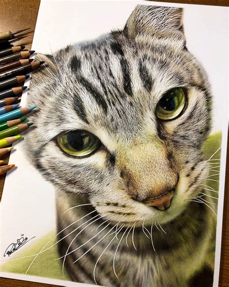 Feline Faces Get a Close-Up in Amazing Hyperrealistic Drawings