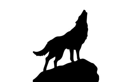 Wolf Silhouette photos, royalty-free images, graphics, vectors & videos ...