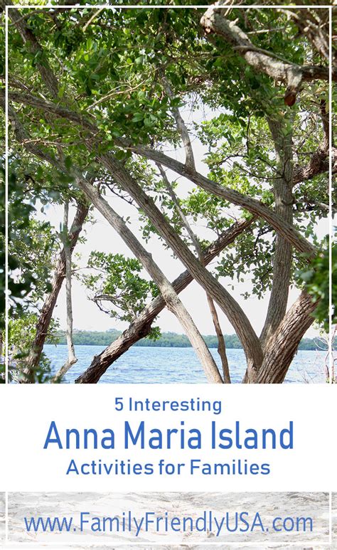 5 Interesting Anna Maria Island Activities for Families