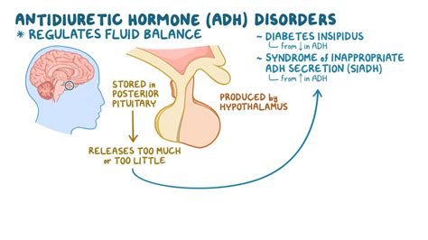 Adh Disorder