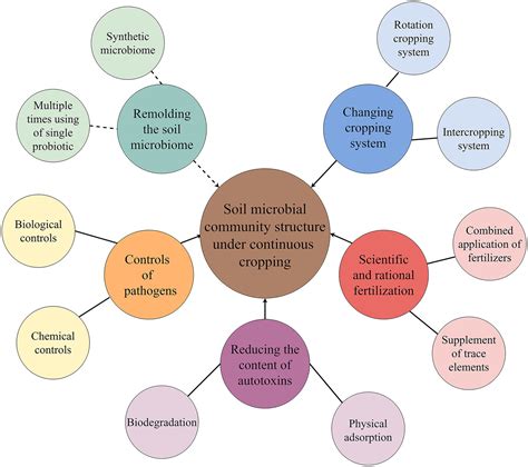 Frontiers | Evolutions and Managements of Soil Microbial Community ...