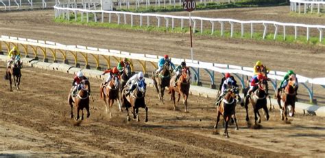 Turf Nacional: Hipódromo de La Plata, 17 de diciembre