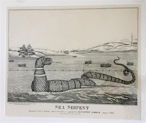 New Gloucester Sea Serpent Sightings – Good Morning Gloucester