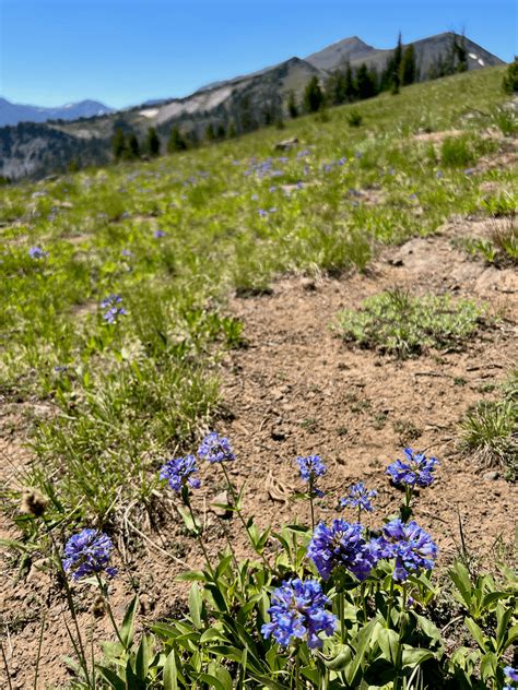 Wallowa Lake Tramway -- Eagle Cap Wilderness magic