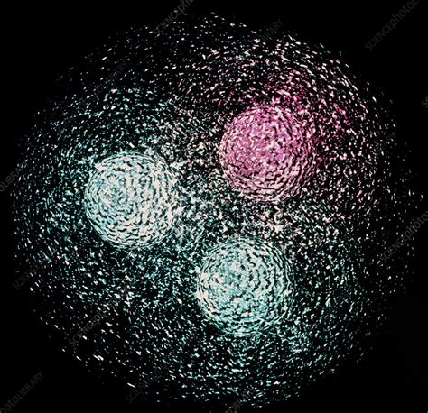 Visualisation of quark structure of proton - Stock Image A152/0046 ...