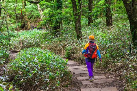 Hiking Mt Hallasan - Jeju Island, South Korea - Fork and Foot