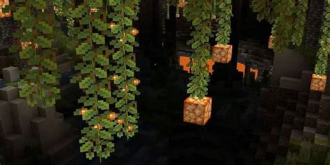 How to grow Glow Berries in Minecraft