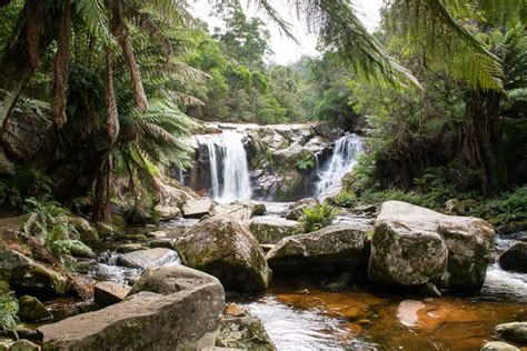 20+ Things to Do in North West Tasmania in 2024 - Travelsewhere