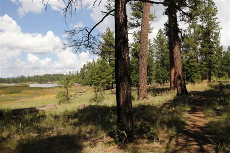 Whitehorse Lake Trails in the Kaibab National Forest - PHOENIX magazine