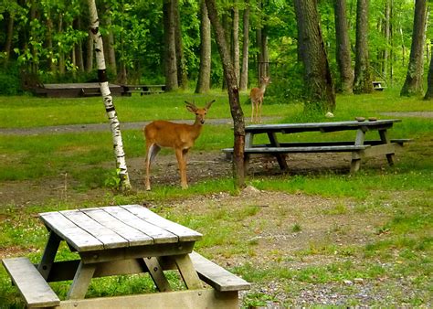 Escape New York City for these sights at Harriman State Park