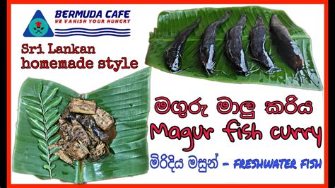 Maguru maalu kariya|මගුරු මාළු කරිය|Magur fish curry|Bermuda Cafe - YouTube