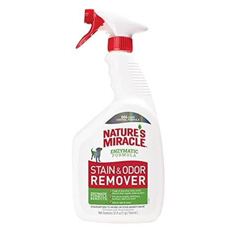 The 25 Best Cat Urine Odor Removers of 2021 - Pet Life Today