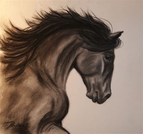 Horse Charcoal Drawing at GetDrawings | Free download