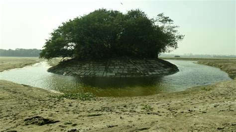 Okhla Bird Sanctuary dry for over 20 days; migration of birds affected - Hindustan Times