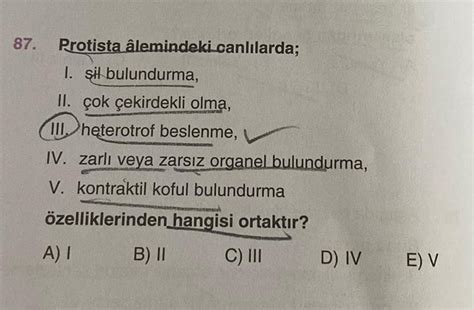 87. Protista âlemindeki canlılarda; I. şil bulundurma, II. çok çekirdekli olma, III. heterotrof ...