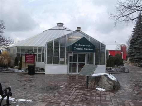 Random Thoughts: January Afternoon At The City Of Brampton's Greenhouse ...